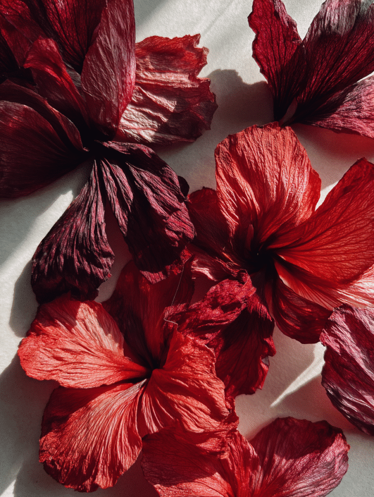 Hibiscus Tea: A Bold Brew with Big Benefits hibiscus tea